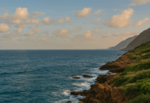 Día Mundial de los Océanos – 8 de junio: Un compromiso global con el corazón azul del planeta